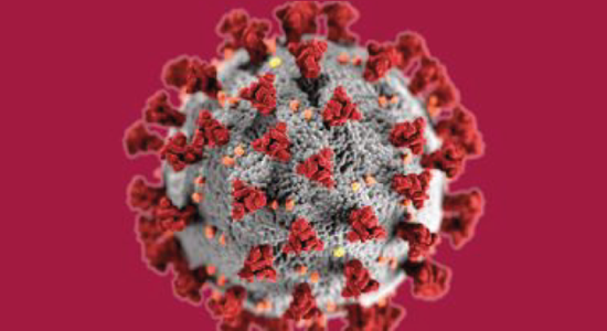 Virus Corona: Fiches d'information et liens